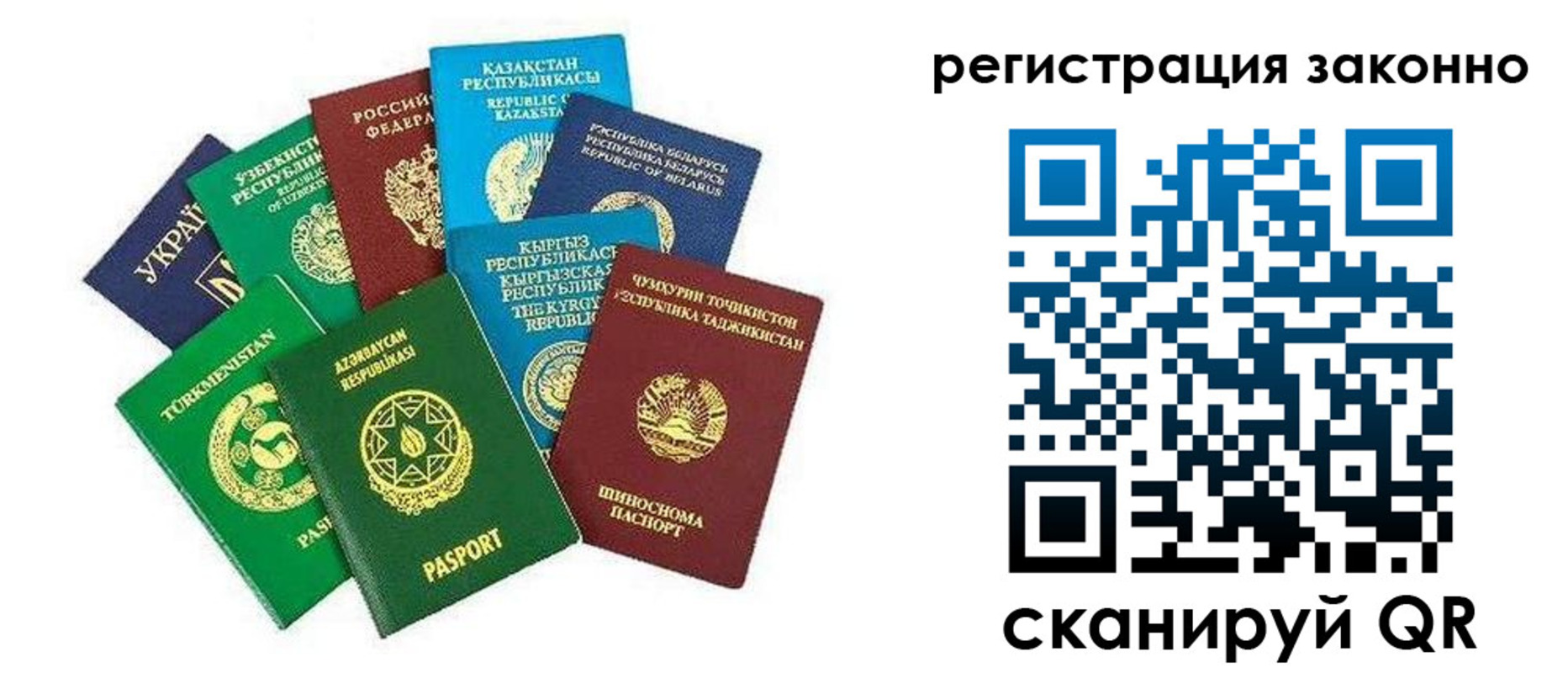 временная регистрация поиск в Королёве